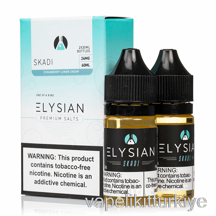 Vape Kalem Vape Mate Skadi - Elysian Tuzları E-sıvı - 60ml 48mg